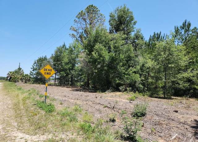 Property at Lot 1 SW Pine Bluffs Rd, Dunnellon, FL 34431