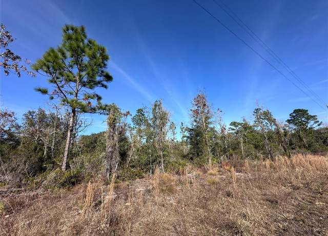 Property at tbd NE 117th Ter, Williston, FL 32696