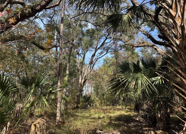 Property at Undetermined, Citra, FL 32113