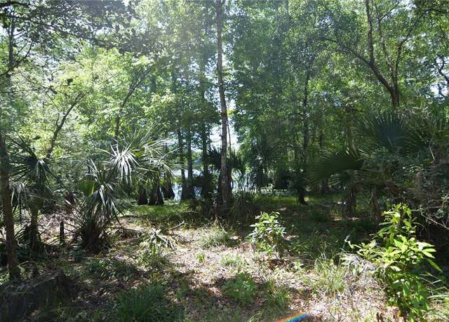 Property at SW 64th Ave, Bushnell, FL 33513