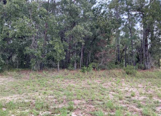 Property at SW 134th St, Ocala, FL 34473
