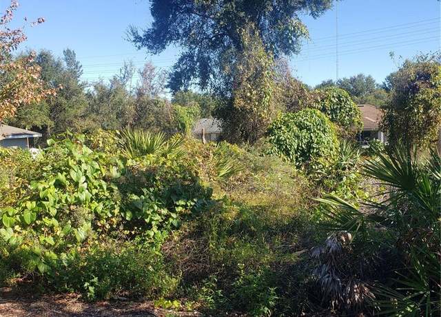 Property at Chestnut Ave, Orange City, FL 32763