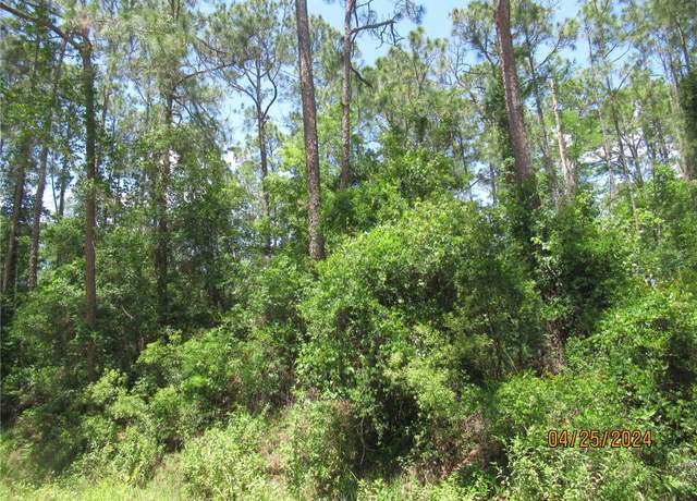 Property at 2098 County Road 305, Bunnell, FL 32110