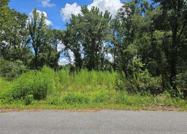 Property at 234 Oak Lane Way, Ocala, FL 34472