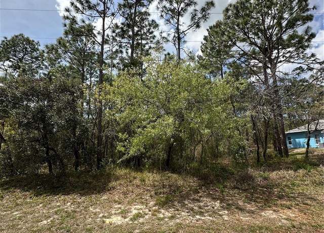 Property at 2 Fringetree Ct, Homosassa, FL 34446