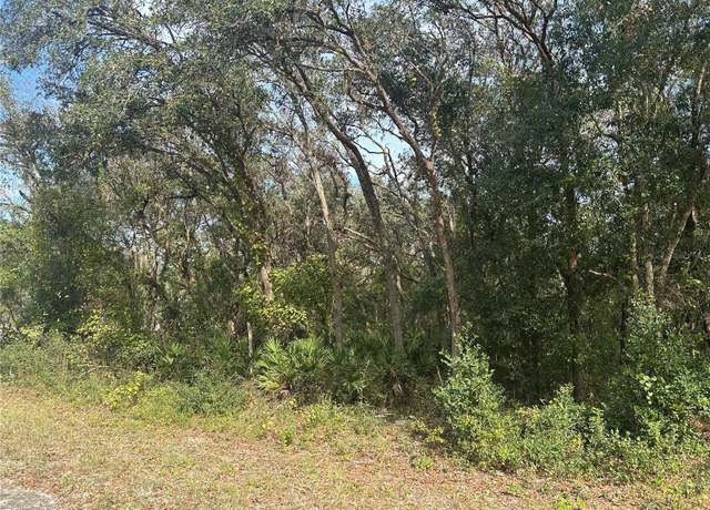 Property at 9114 Realstone Dr, Webster, FL 33597