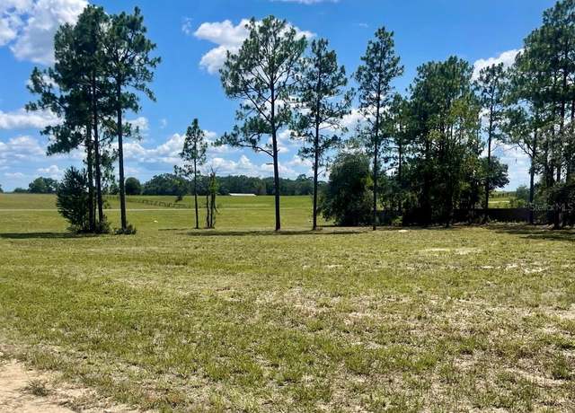 Property at NE 137th Ave, Williston Highlands, FL 32696