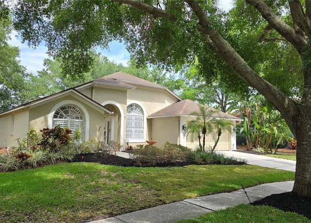 Property at 15209 Arbor Hollow Dr, Odessa, FL 33556, 3 beds, 2 baths