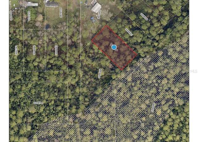 Property at Raccoon St, Paisley, FL 32767