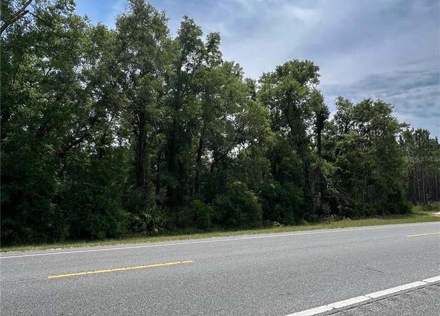 Property at 00 NE 349 Hwy, Old Town, FL 32680