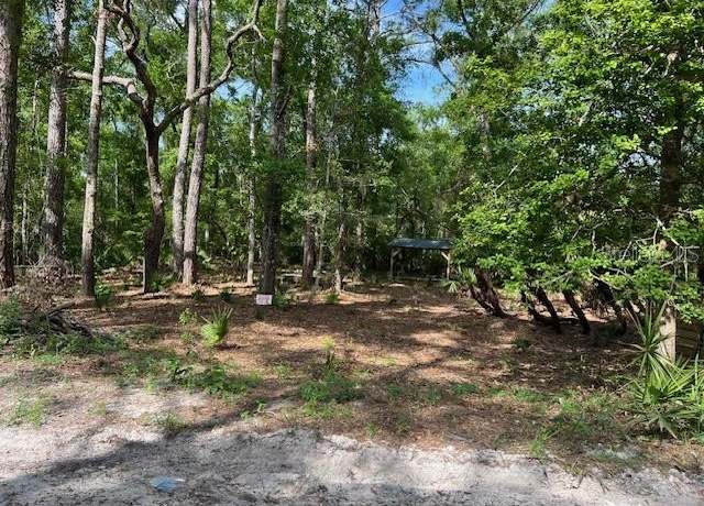 Property at 00 SE 929th St, Old Town, FL 32680