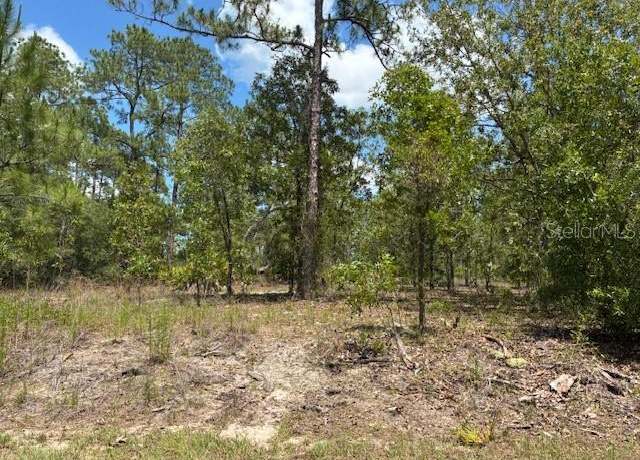 Property at TBD SW Southview Ct, Dunnellon, FL 34431