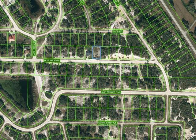 Property at 464 Blue Moon Ave, Lake Placid, FL 33852