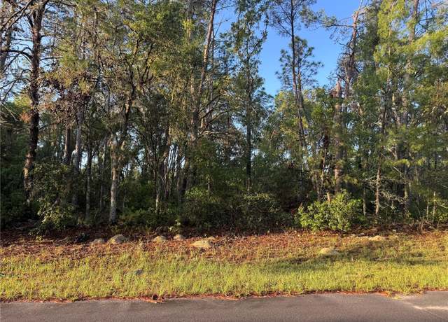 Property at 2 SW 179th Pl, Ocala, FL 34473