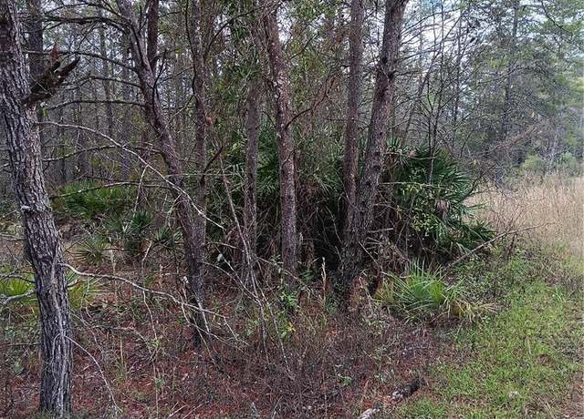 Property at 5144 W Osmond Ln, Dunnellon, FL 34433