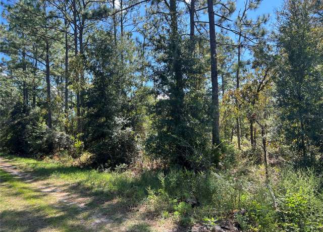 Property at 0 SW 93rd St, Dunnellon, FL 34432