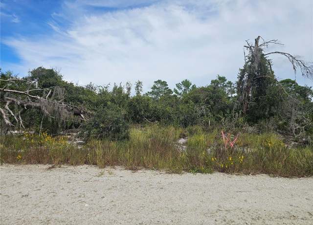 Property at 123 Patton Ave, Lake Placid, FL 33852