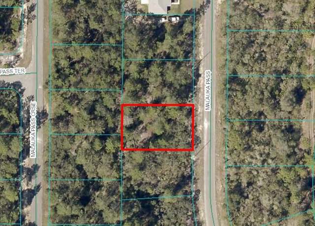 Property at Malauka Pass, Ocklawaha, FL 32179