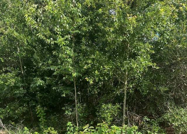 Property at 0 NW 57 TH Ave, Ocala, FL 34482