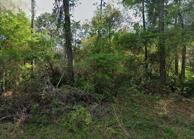 Property at Not Assigned, Crescent City, FL 32112