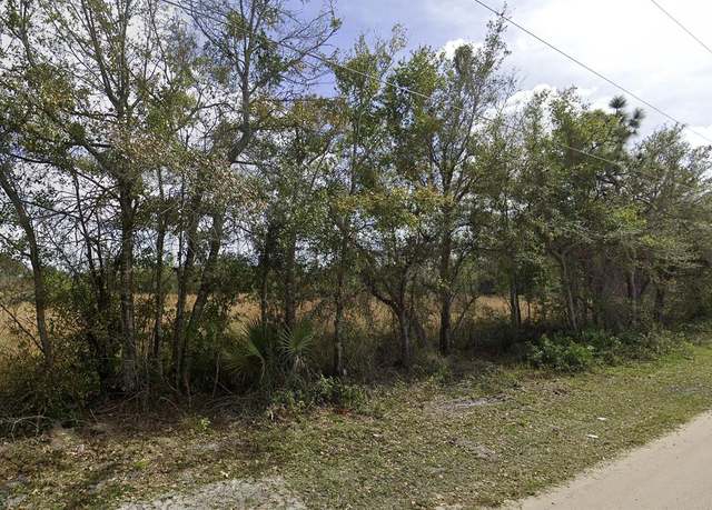 Property at 0 Delaware Ave, St Cloud, FL 34769