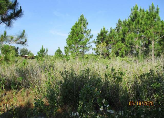 Property at 15312 NW 274th St, Okeechobee, FL 34972