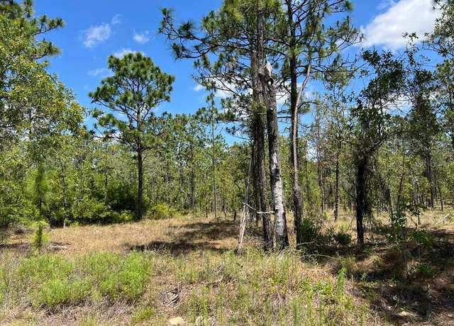 Property at NW Amberjack Ave Lot 33, Dunnellon, FL 34431