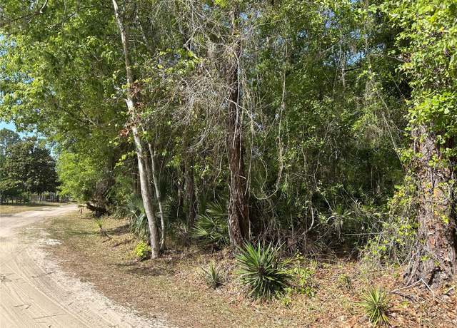 Property at Airport Rd, Astor, FL 32102