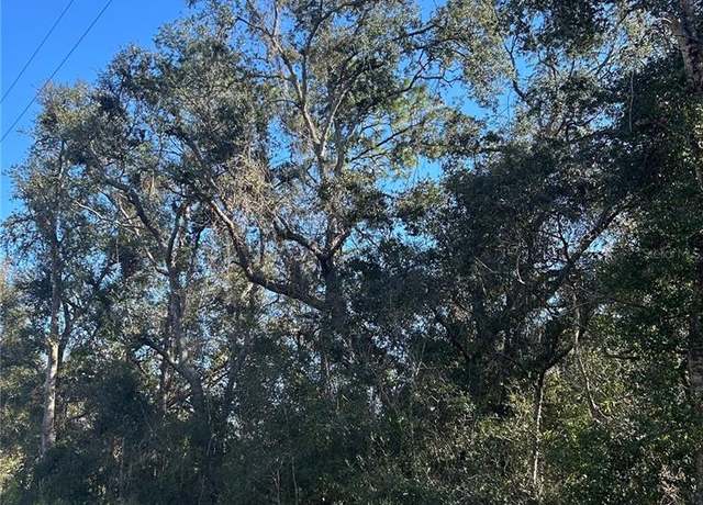 Property at SE 18 St, Silver Springs, FL 34488