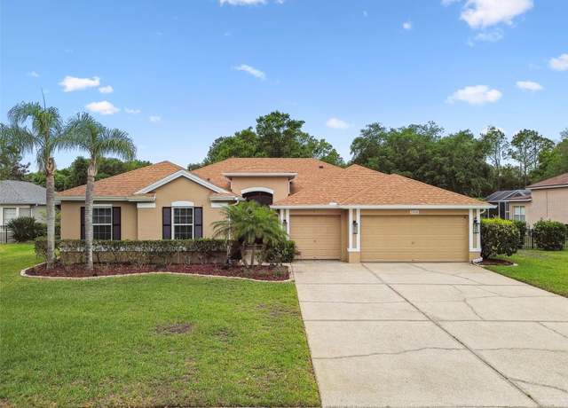 Property at 19106 Beckett Dr, Odessa, FL 33556, 4 beds, 2.5 baths