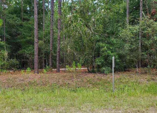 Property at Land SW 136th Ave Rd, Ocala, FL 34481