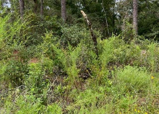 Property at 6364 E Seneca St, Inverness, FL 34452