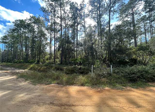 Property at Susan St, Interlachen, FL 32148