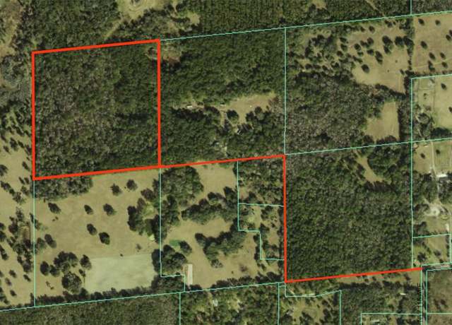 Property at TBD NW 115th Ave, Reddick, FL 32686