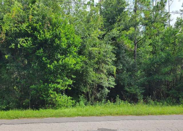 Property at 0021 Centenial Dr, Dade City, FL 33525