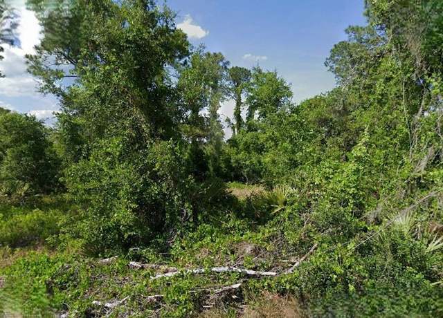 Property at 623 Cunningham St, Lake Placid, FL 33852
