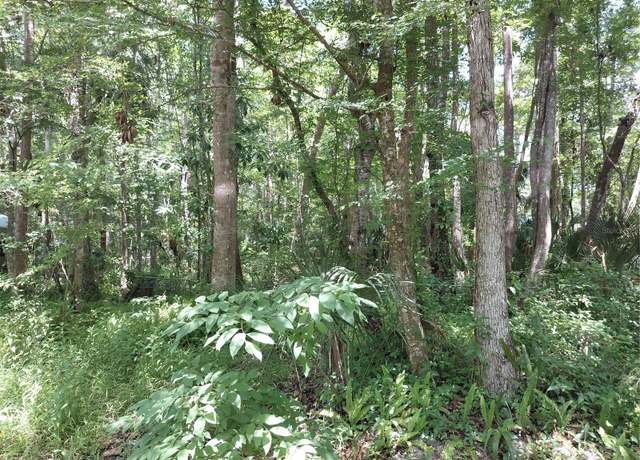 Property at 24028 Bass Rd, Astor, FL 32102