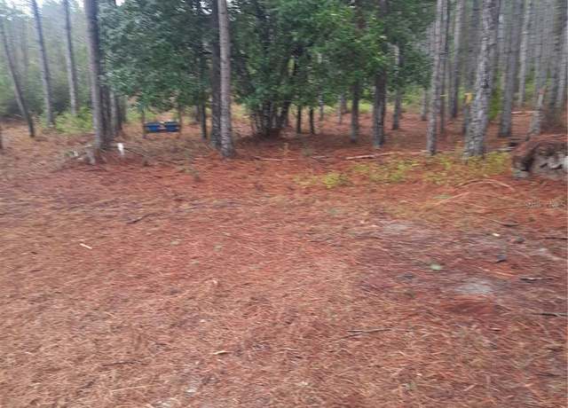 Property at 540 SW 326th Ave, Steinhatchee, FL 32359