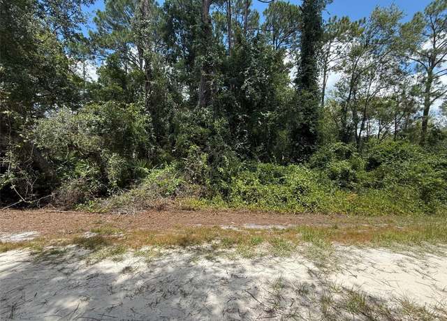 Property at 322 Palm Way, Georgetown, FL 32139