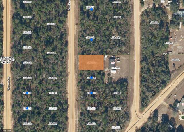 Property at David, Interlachen, FL 32148