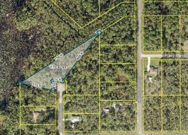 Property at TBD Chinaberry Way, Eustis, FL 32736