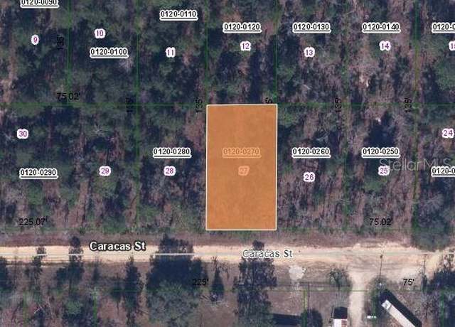 Property at 116 Caracas St, Interlachen, FL 32148