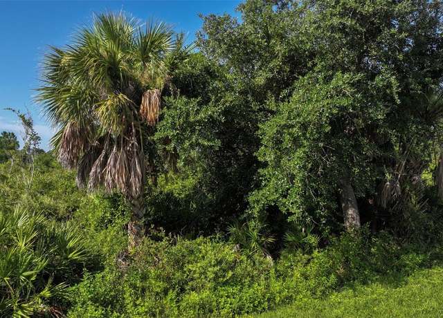 Property at 12189 Grace Ave, Port Charlotte, FL 33981