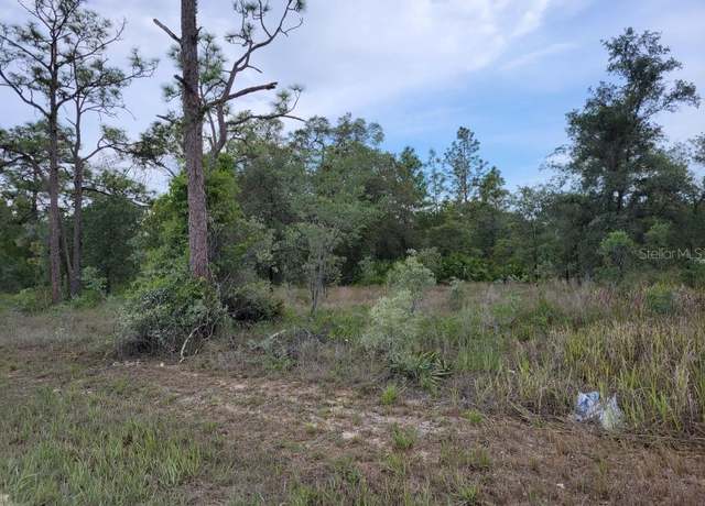 Property at Cedarwood Ave, Weeki Wachee, FL 34614
