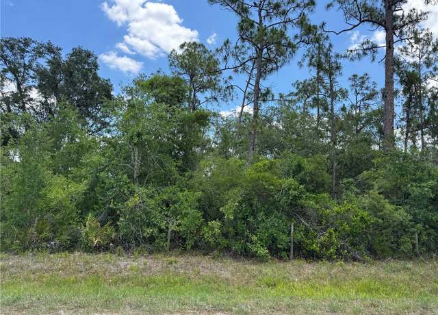 Property at SW Florida Rd, Arcadia, FL 34266