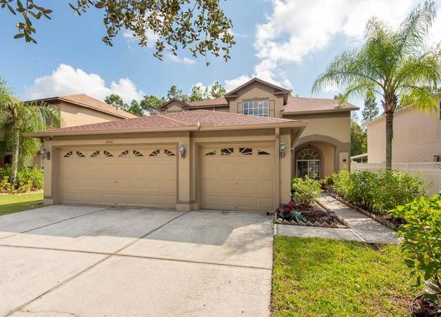Property at 18141 Sandy Pointe Dr, Tampa, FL 33647, 5 beds, 3 baths