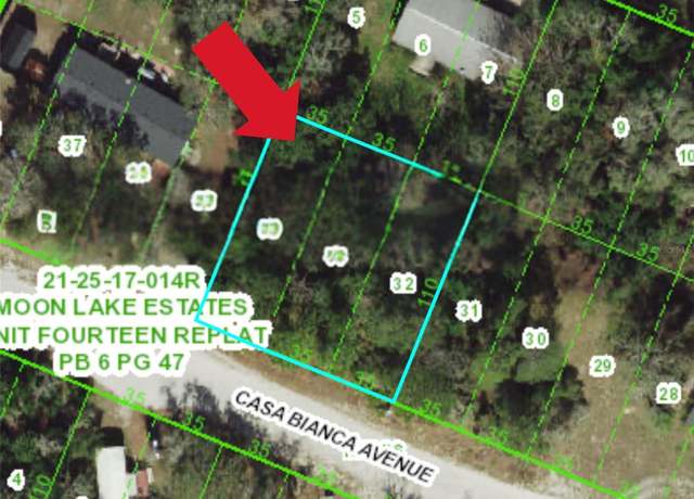 Property at 12905 Casa Bianca Ave, New Port Richey, FL 34654
