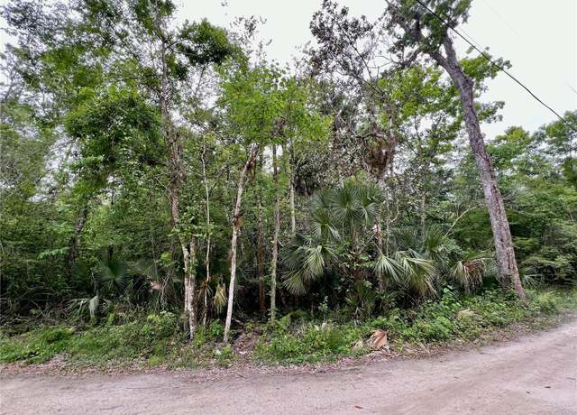 Property at 0 Patricia Trl, Kissimmee, FL 34747