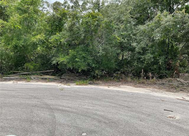 Property at TBD Lots 55 & 57 Malauka Radl, Ocklawaha, FL 32179