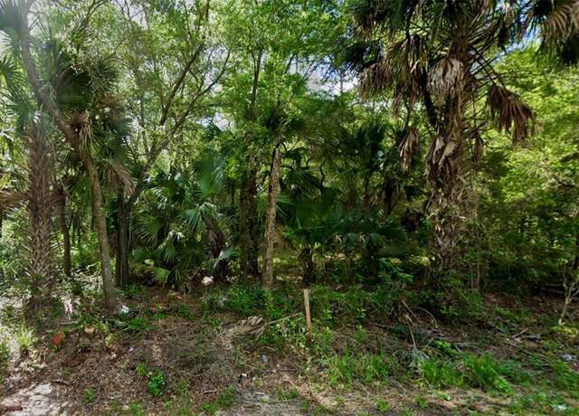 Property at SE 167 Ct, Ocklawaha, FL 32179